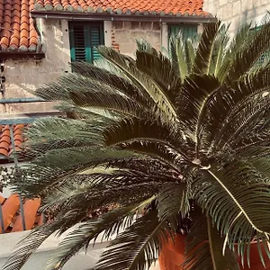Saint Lucas Apartment